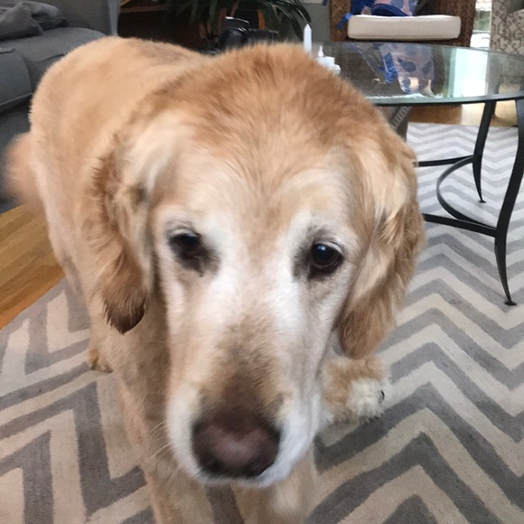 Meet your Posher, Colleen - Picture 1 of 1